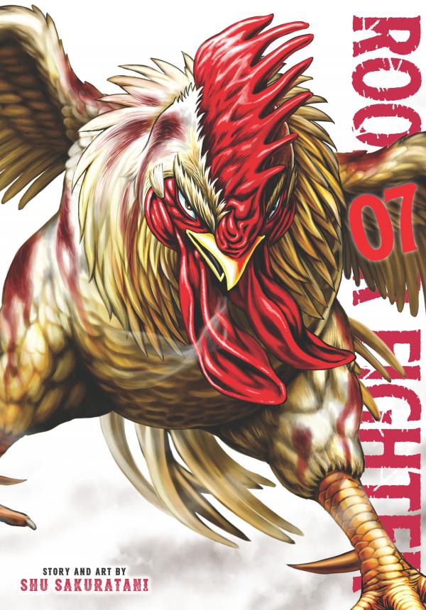 Rooster Fighter Rooster Fighter